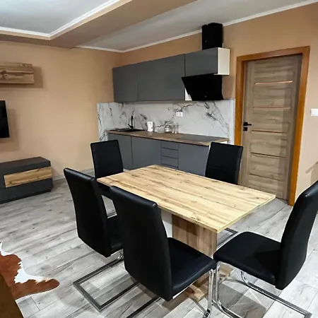 Apartment Apartament U Rzezbiarza *